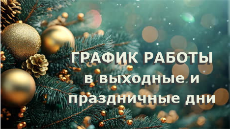 Режим работы в НГ 25-26